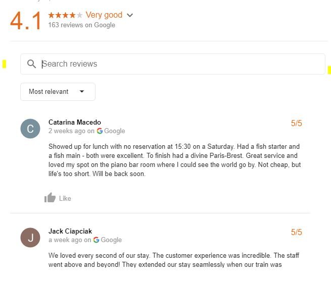 Google Review Search.JPG